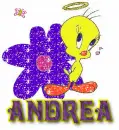 Tweety Bid - Andrea 