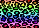 colorful leopard 