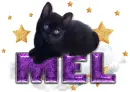 Mel cute cat