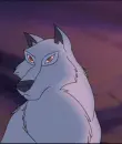 Aniu