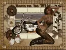 born to be wild