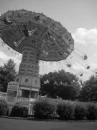 carnival
