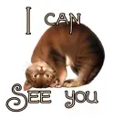 I See You