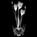 crystal fantasy