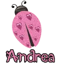 Cute Lady Bug -Andrea-