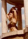 Belly Dancer 