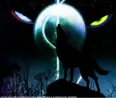 Wolf Rain