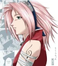 sakura