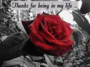 tnx for being in my life..
