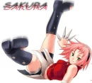 sakura
