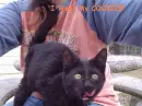 I WANT MY COOKIE!