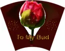 TO MY BUD