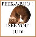 Judi Peek-A-Boo Cat