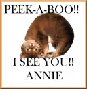 ANNIE