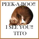 TITO
