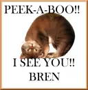 BREN