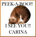 CARINA