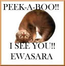 EWASARA