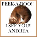 ANDREA