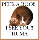 HUMA