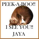 JAYA
