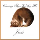 Judi