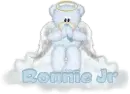 Ronnie Jr
