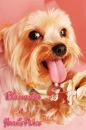 Bienvenida a nuestro grupo