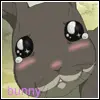 bunny