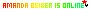 Amanda Bieber is online