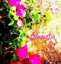 Beauty