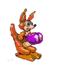 kangaroo