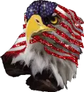 american pride
