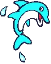 Dolphin Flipping