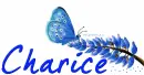 Blue Butterfly Charice