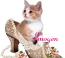 KITTY IN A SHOE IMOGEN