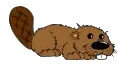 Bever
