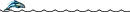 Dolphins Swimming