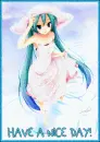 have a nice day