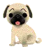 Pug