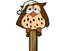 Owl Sleeping