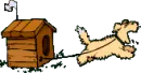 Puppy Tied to it's House