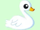 cisne