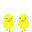 Twin Chicks