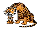 Mommy and Baby Tiger