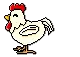 Chicken Laying Eggs