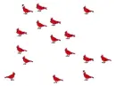 Multiple Cardinals