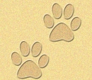 Paw prints background