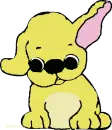 yellow dog