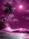 paradise
